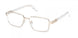 Guess 50371 Eyeglasses