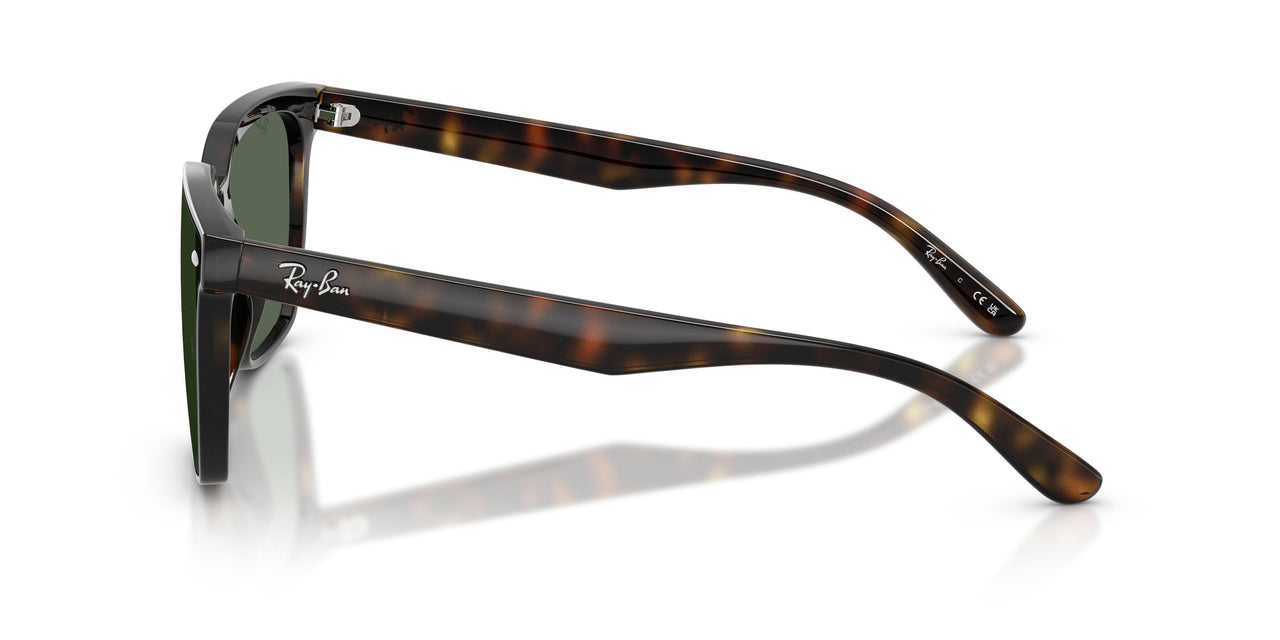 710/71 - Tortoise - Dark Green