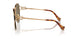 7OE01T - Gold - Dark Brown
