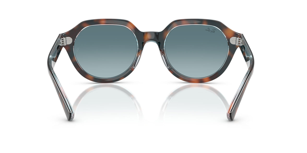 14133M - Tortoise - Blue Gradient Grey