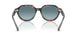 14133M - Tortoise - Blue Gradient Grey