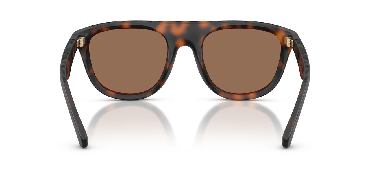 353673 - Tortoise - Dark Brown