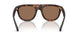 353673 - Tortoise - Dark Brown