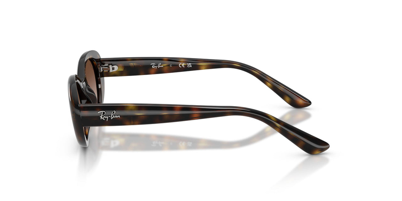 152/13 - Tortoise - Gradient Brown