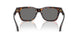 550981 - Tortoise - Dark Grey Polar