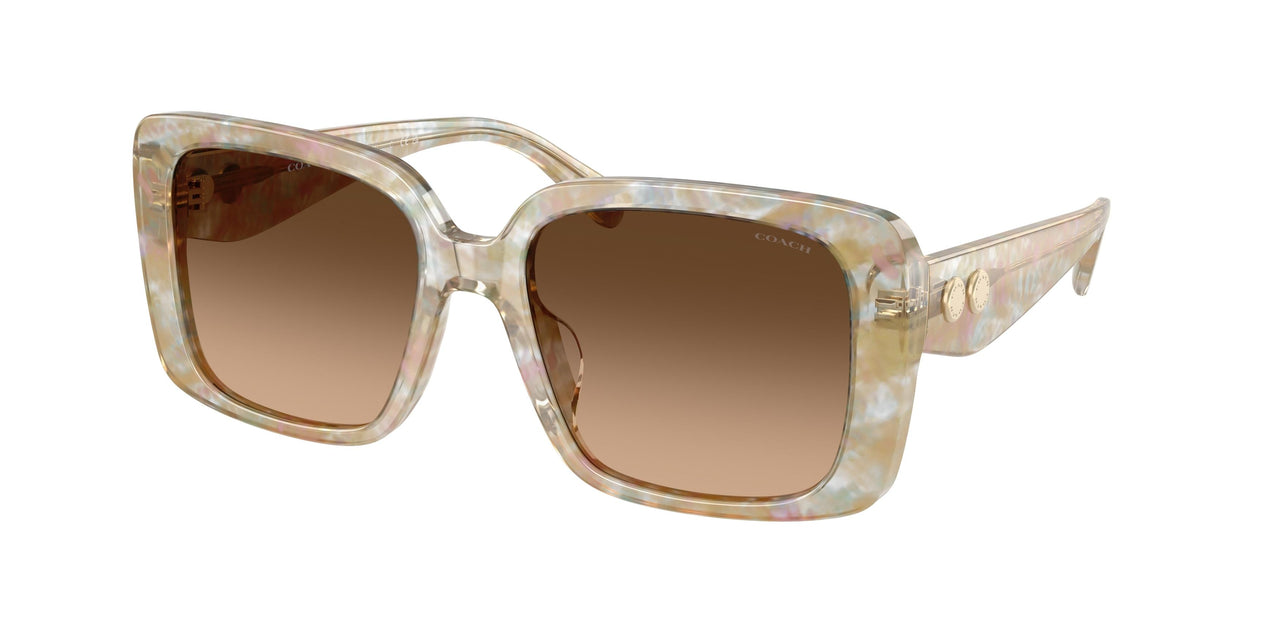 Coach Cad54 8424U Sunglasses