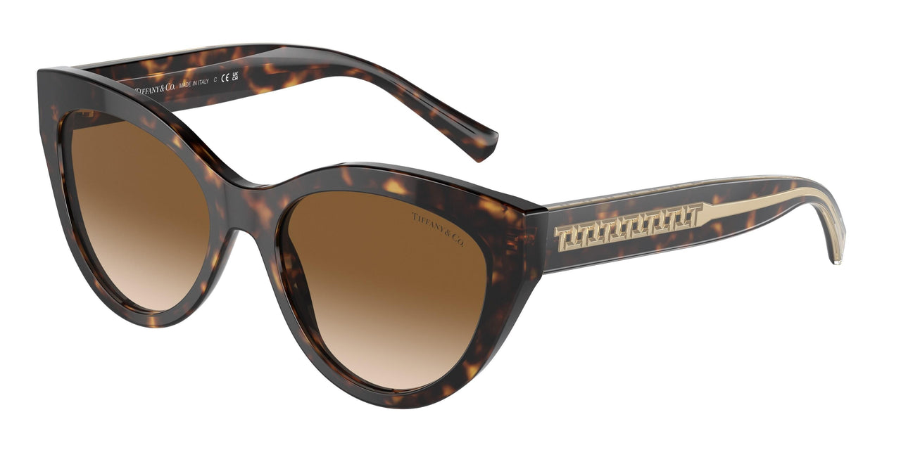 801551 - Tortoise - Clear Gradient Brown