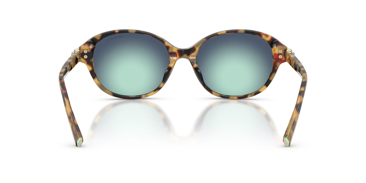 80649S - Tortoise - Gradient Blue