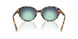 80649S - Tortoise - Gradient Blue