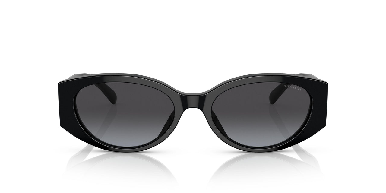 50028G - Black - Grey Gradient