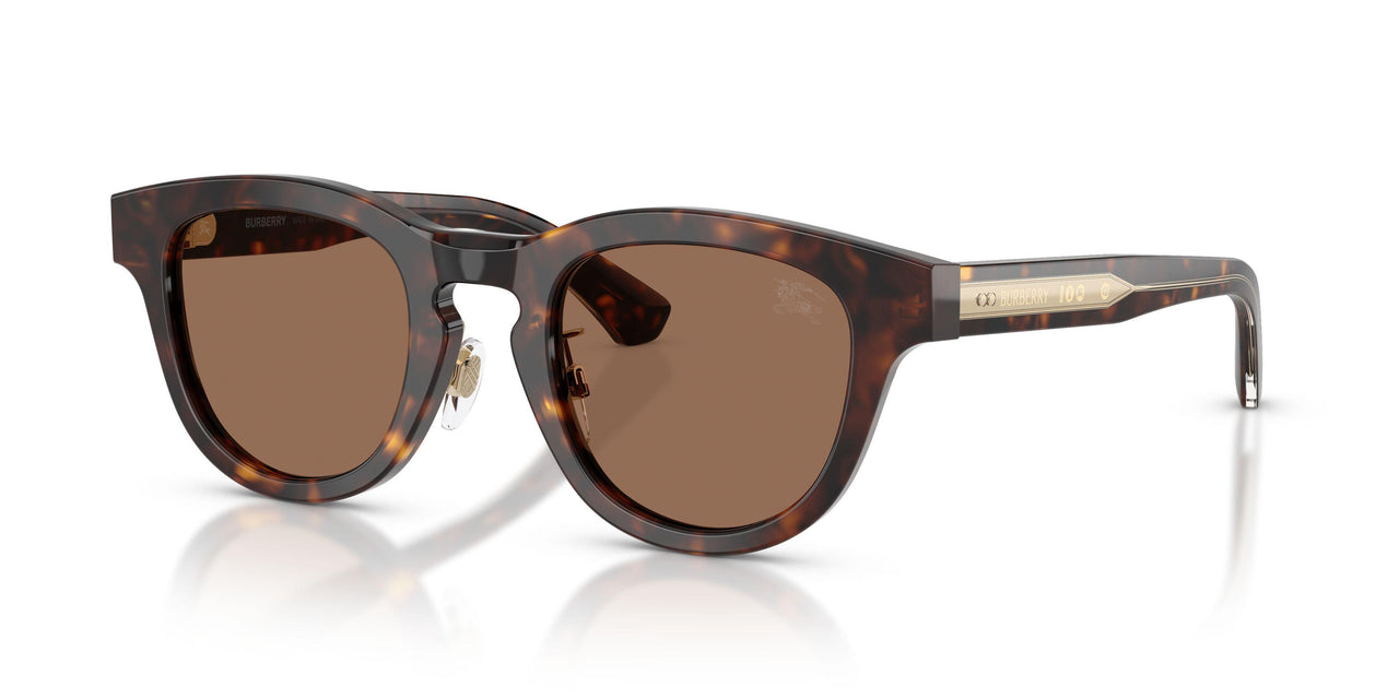 420573 - Brown - Dark Brown