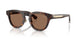 420573 - Brown - Dark Brown