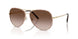 336013 - Gold - Brown Gradient