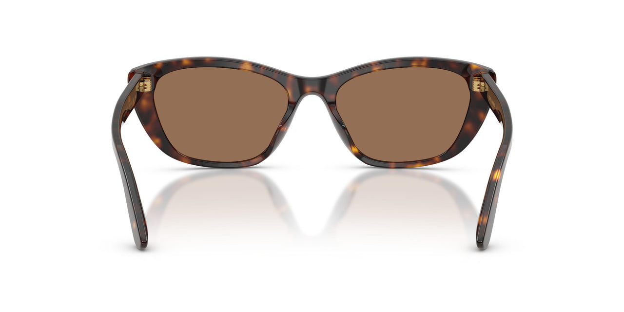 502/73 - Tortoise - Dark Brown