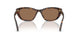502/73 - Tortoise - Dark Brown