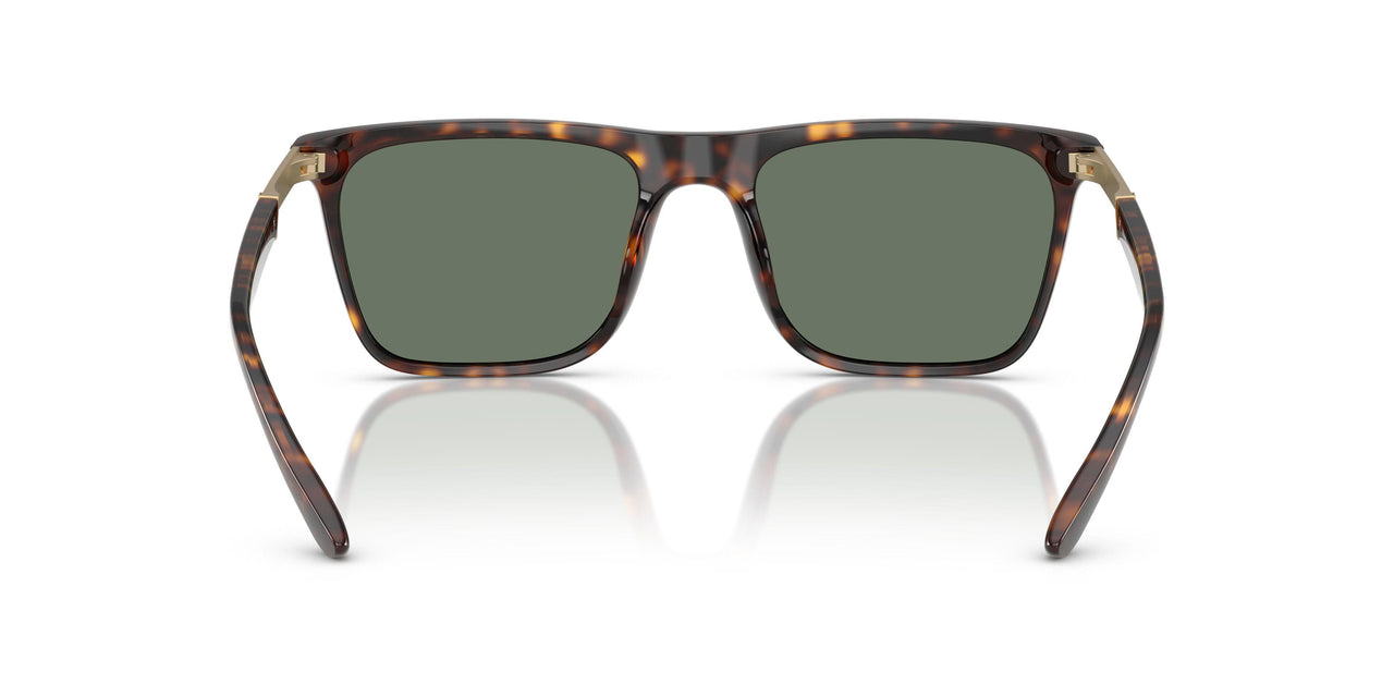 61613H - Tortoise - Dark Green Solid