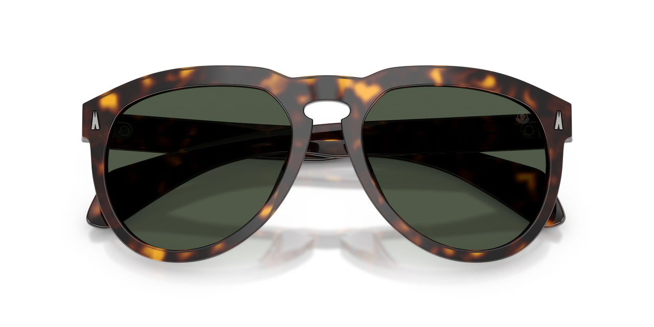 30029A - Tortoise - Dark Green Polar