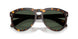 30029A - Tortoise - Dark Green Polar