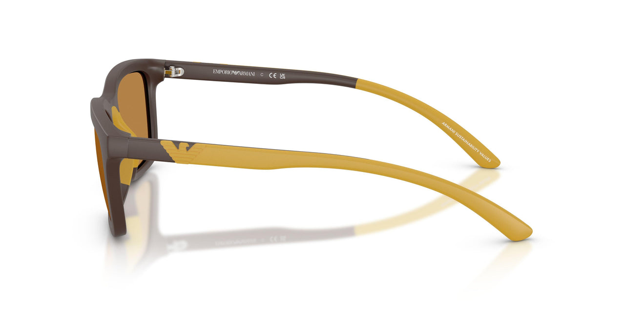 625893 - Brown - Light Brown
