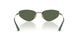 51389A - Brown - Dark Green Polar