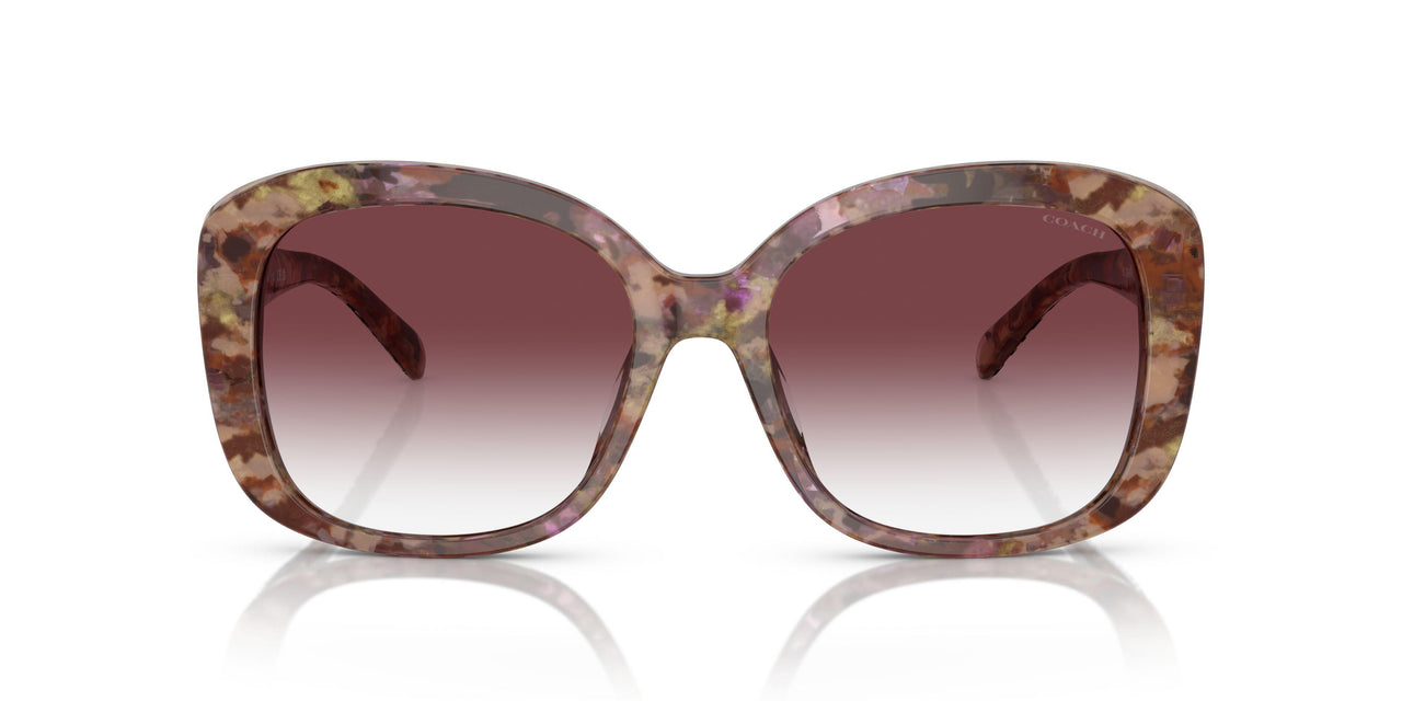 57398H - Tortoise - Purple Clear Gradient