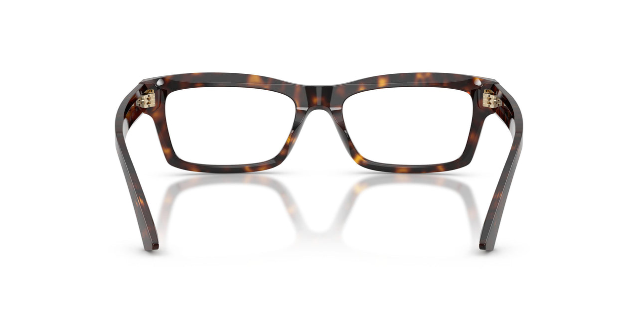 5002 - Tortoise