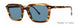 Valdo Elio Sunglasses