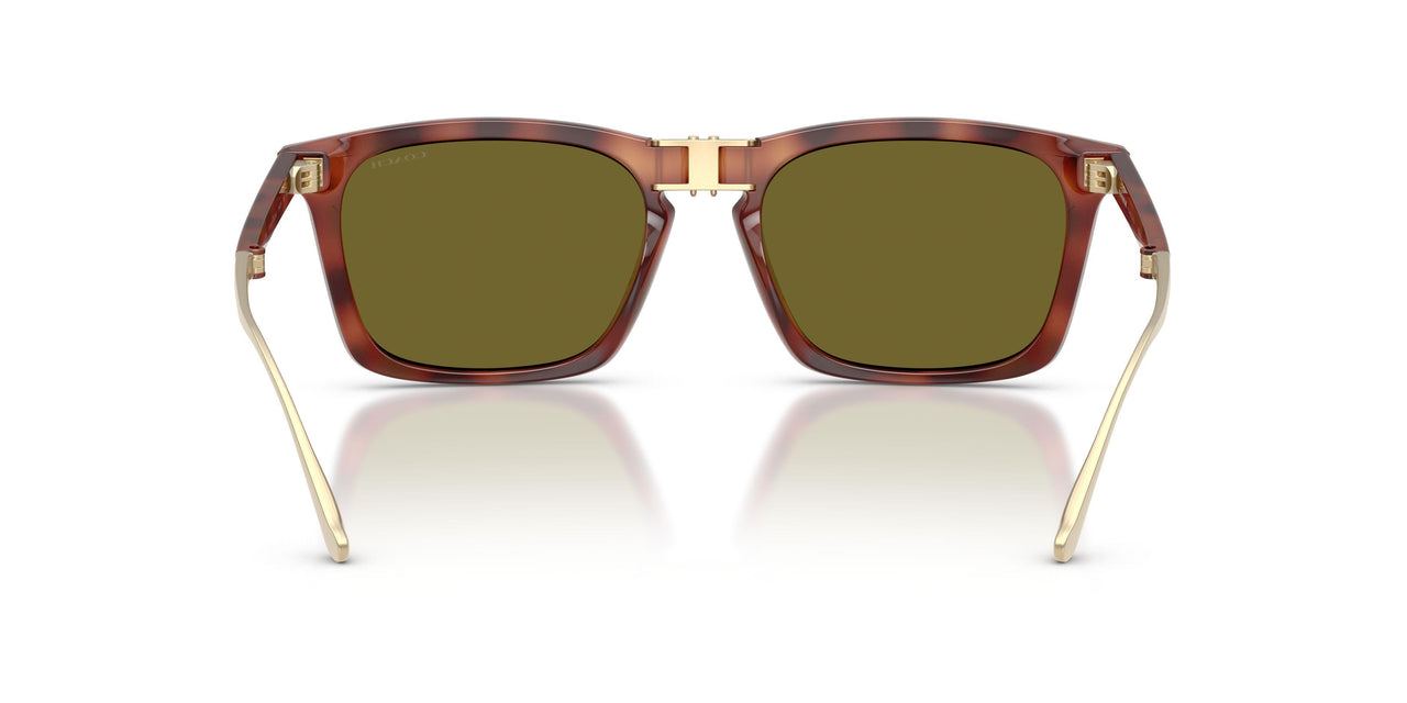 5774/2 - Tortoise - Green Solid
