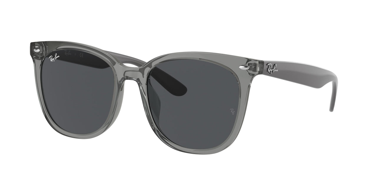 Ray-Ban 4379D Sunglasses