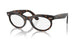 902/GI - Tortoise - Clear/brown