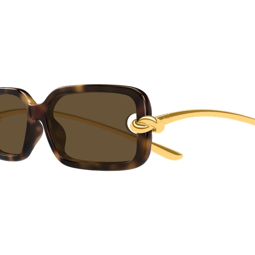 002 - Havana/Gold - Brown
