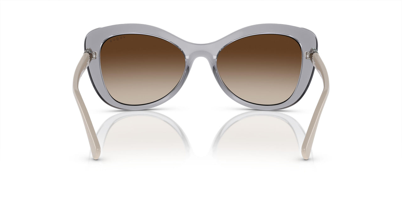 309913 - Grey - Brown Gradient