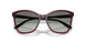 298911 - Violet - Gradient Grey