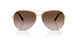 336013 - Gold - Brown Gradient