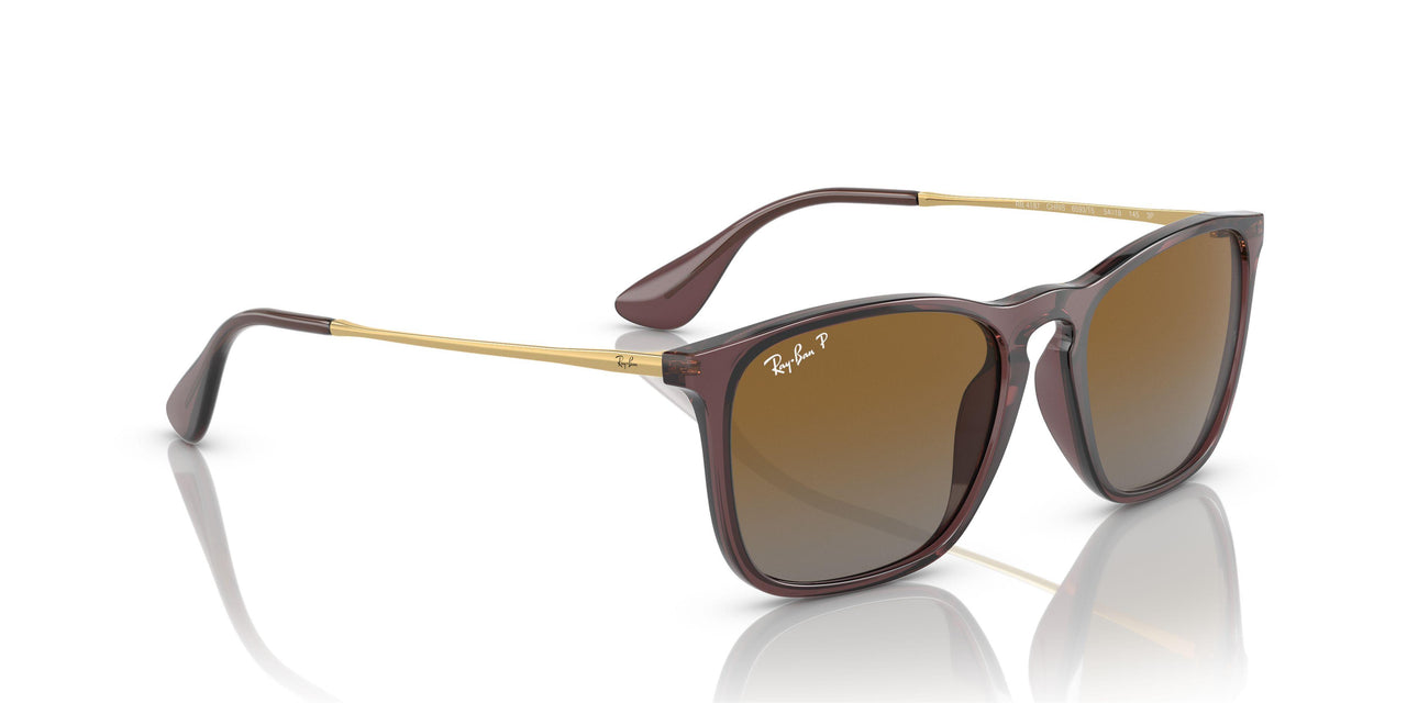 6593T5 - Brown - Grey Gradient Brown Polar