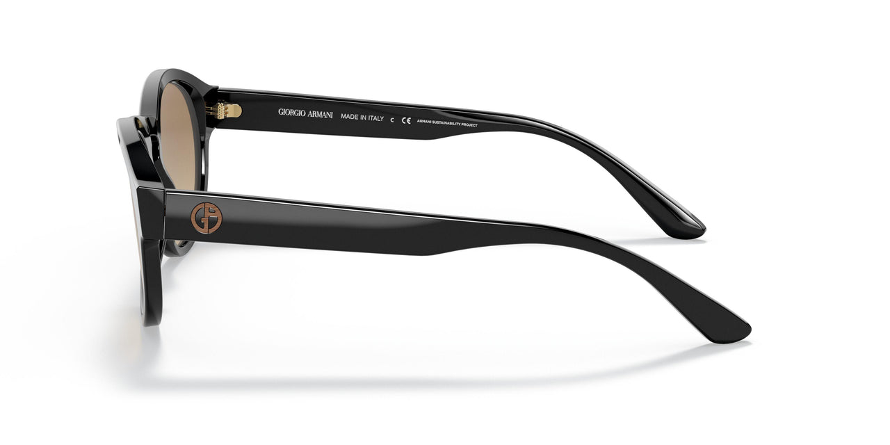 5875Q4 - Black - Clear Gradient Brown Photo