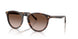W65613 - Brown - Gradient Brown