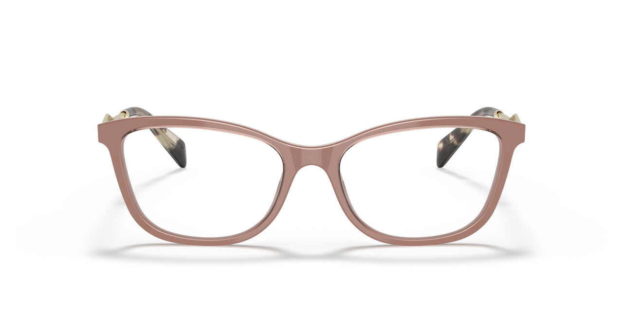 01Y1O1 - Light Brown