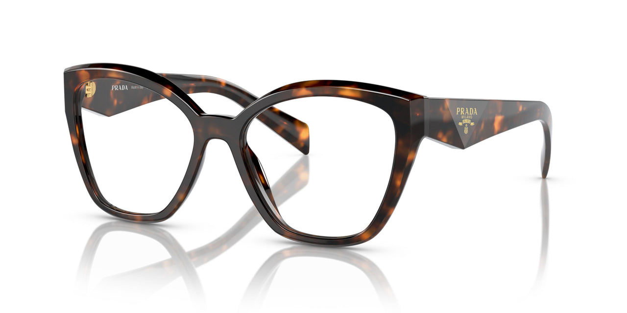 14L1O1 - Tortoise