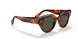 954/31 - Havana - Green