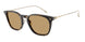 620773 - Tortoise - Brown