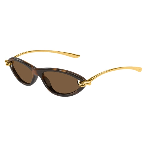 002 - Havana/Gold - Brown