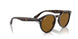 902/33 - Tortoise - Brown