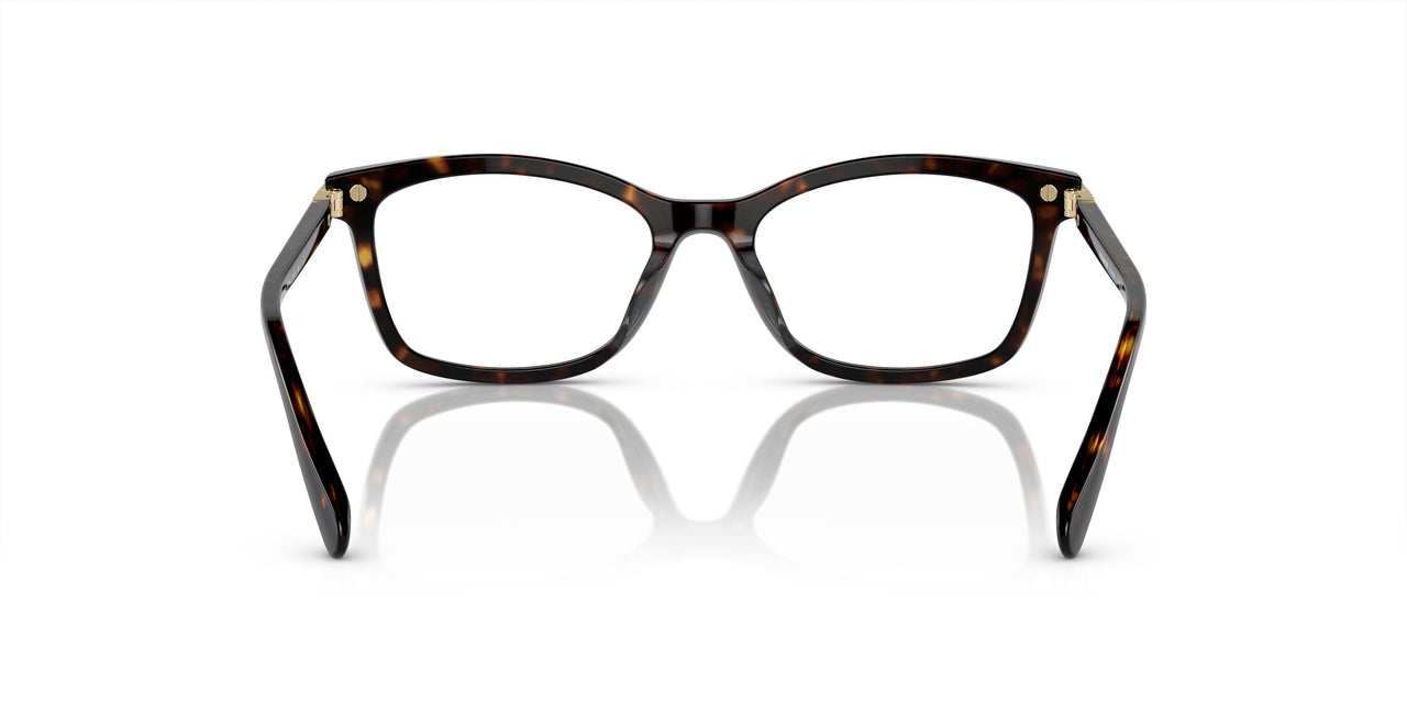 5120 - Tortoise