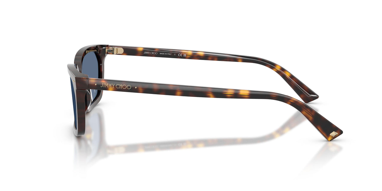 500280 - Tortoise - Blue