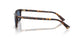 500280 - Tortoise - Blue