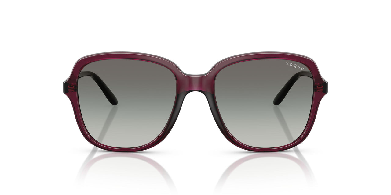 298911 - Violet - Gradient Grey