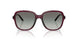 298911 - Violet - Gradient Grey