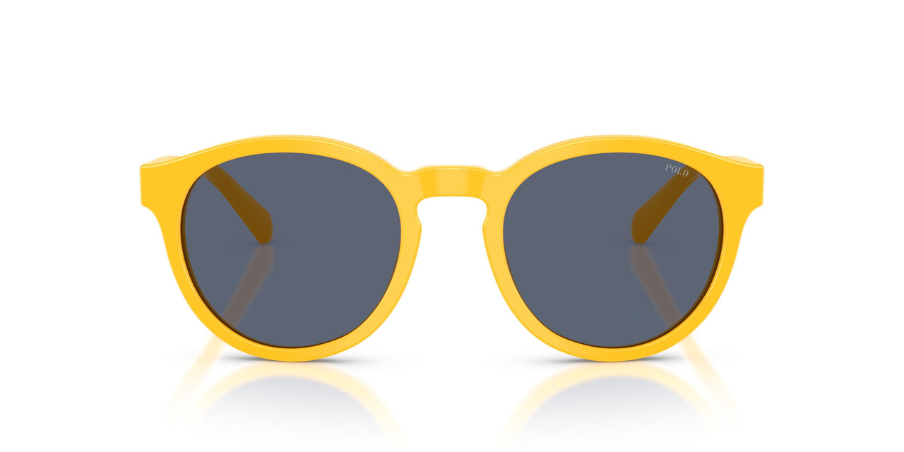 542087 - Yellow - Grey Blue