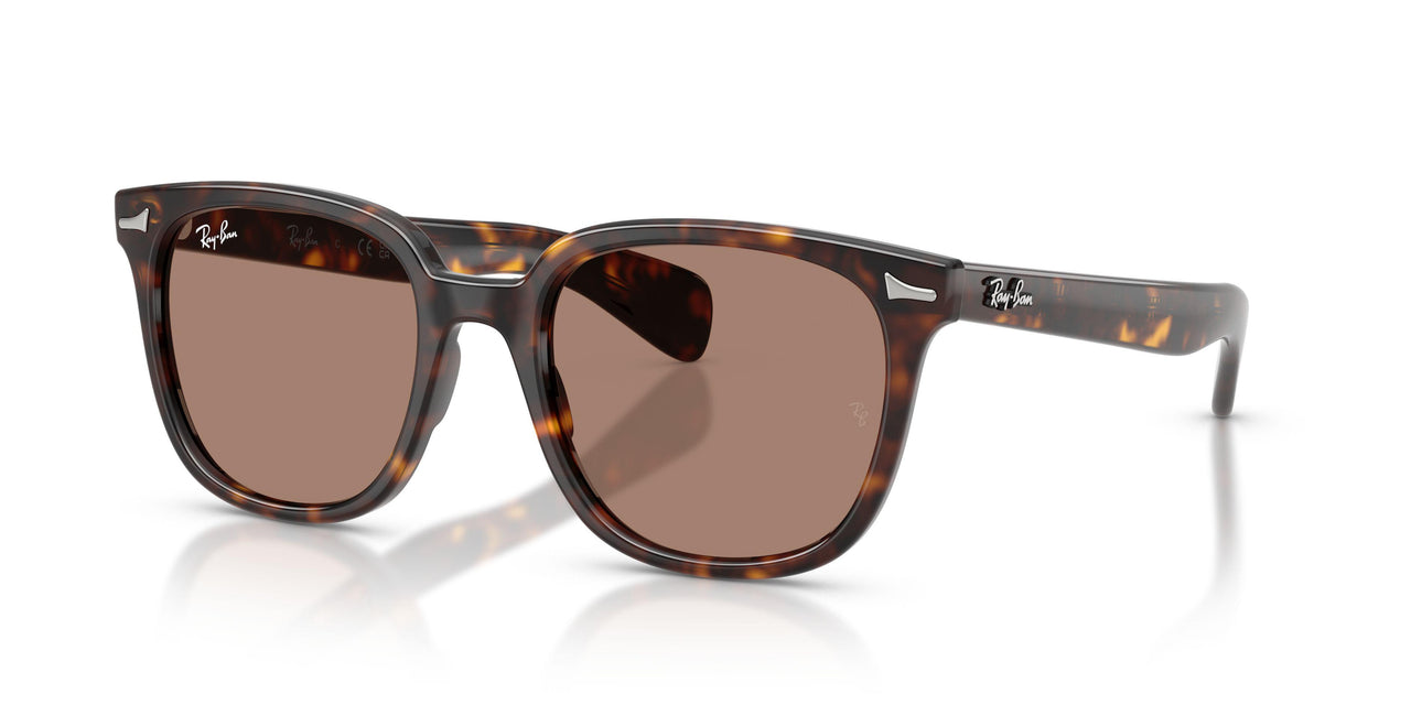 Ray-Ban Brunel Ii 2235F Sunglasses